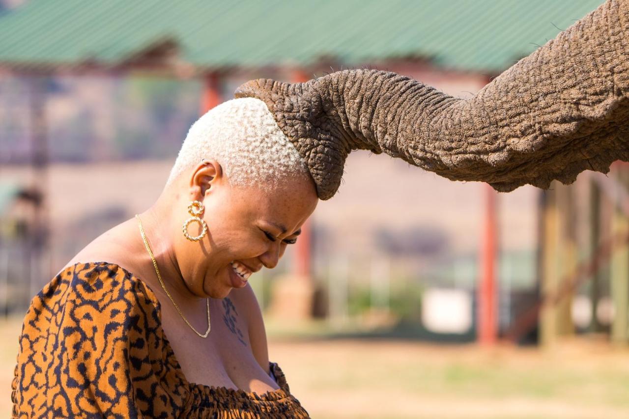 African Hills Safari Lodge & Spa Magaliesburg Dış mekan fotoğraf