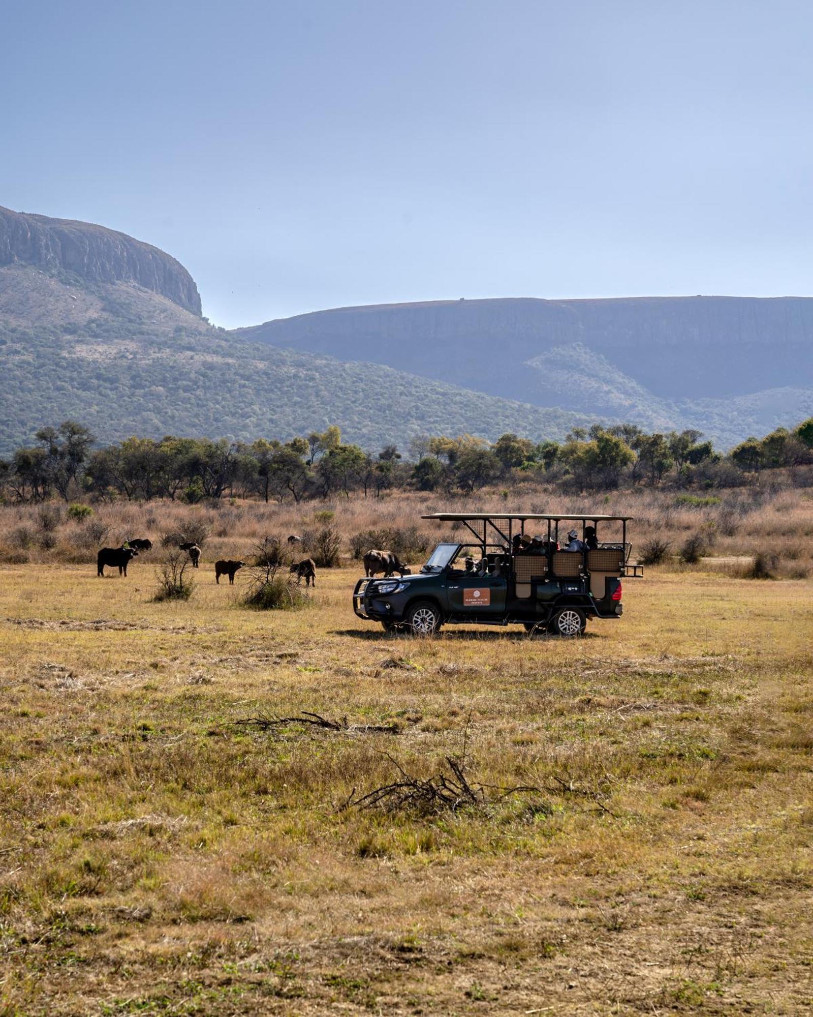 African Hills Safari Lodge & Spa Magaliesburg Dış mekan fotoğraf